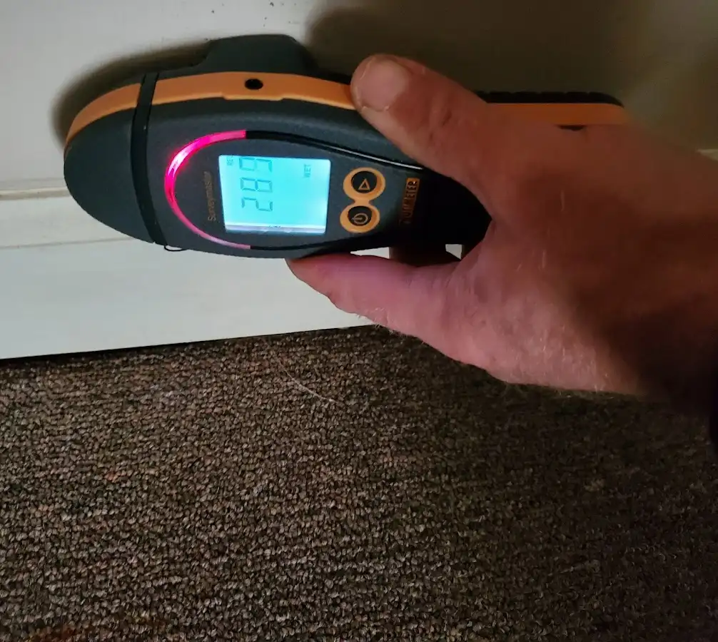 Moisture detection at baseboard during Sewage Cleanup & Sanitation in Hudson